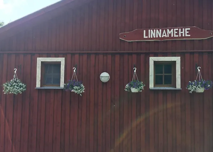 Linnamehe Holiday Centre Kuiaru