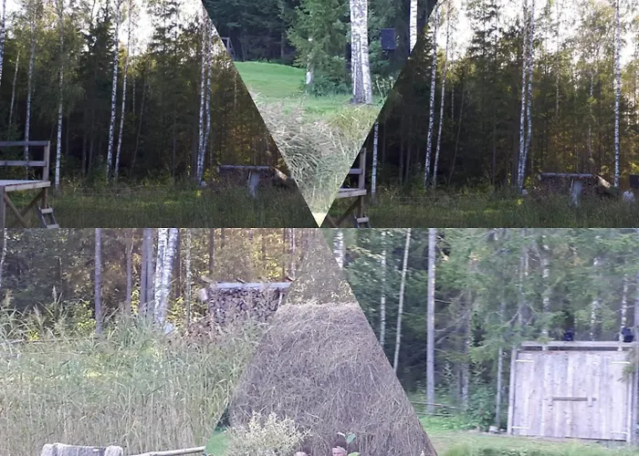 Linnamehe Holiday Centre Hotel Kuiaru